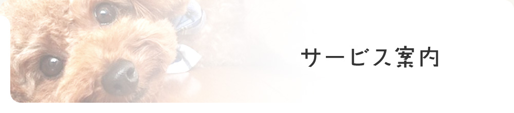 その他サービス案内